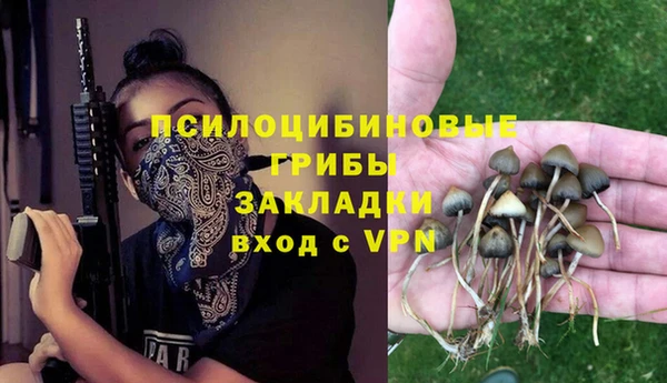 сатива Майский