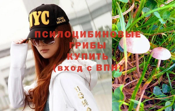 мдпв Лиски