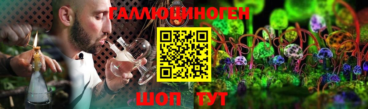 Псилоцибиновые грибы Psilocybe Севастополь